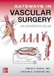 Gateways In Vascular Surgery An Operative Atlas 2025