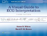A Visual Guide to ECG Interpretation 3rd Ed 2024